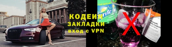 ГАЛЛЮЦИНОГЕННЫЕ ГРИБЫ Вяземский