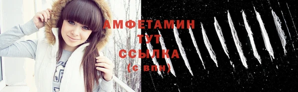 ГАЛЛЮЦИНОГЕННЫЕ ГРИБЫ Вяземский