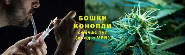 ГАЛЛЮЦИНОГЕННЫЕ ГРИБЫ Вяземский