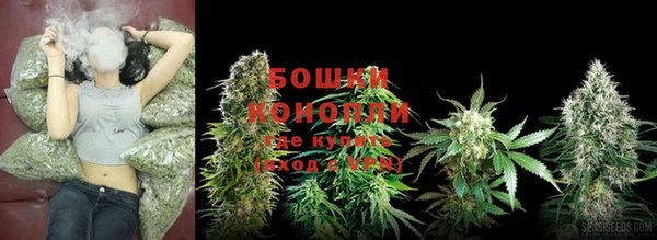 ГАЛЛЮЦИНОГЕННЫЕ ГРИБЫ Вяземский